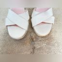 J.Crew  Lace-Up Canvas & Leather Espadrille Wedges size 9 Photo 6