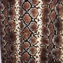 Charlotte Russe Brown Snake Skin Print Bodycon Dress Photo 1