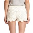 Joie NWT  Blue Crochet Shorts Photo 4