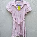 Alexis Dress Pink Striped Photo 0