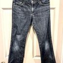 James Jeans  Dry Aged Denim Dry Aged By Sean Kick Crops size 27 Photo 0