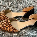 Gap Leopard flat shoes by  are in like great condition. Size 8M Photo 1