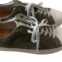 All Saint safia grey suede lace up sneakers size 7 women’s tennis casual shoes Photo 5