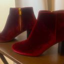 Bella Vita  Women's Klaudia Ii Ankle Bootie Sz 7 NWOT Photo 6