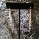 Swavorski Cascading Swarovski & Sterling Silver Earrings Photo 0