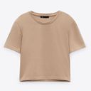 ZARA Tan Cropped T Shirt Photo 0