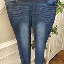 Terra & Sky  Womens Blue Denim Cotton Mid Rise Comfort Waist Skinny Jeans Pant 4X Photo 0