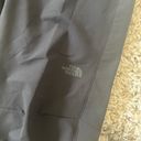 The North Face NWT  Bridgeway Pro Pants Photo 4