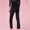 Rebecca Taylor NWT  Soft Black High Waisted Velveteen Pants Size 6 Photo 2