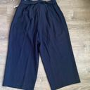 Lane Bryant NWT  Navy Wide Leg Pant Photo 2