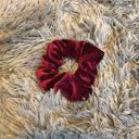 Francesca's Velvet Scrunchie Assortment Photo 3