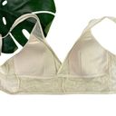 Vince Camuto  Winnie Longline Lace Bralette in Ivory Photo 7