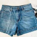 Articles of Society  Ziggy Denim Jean Shorts Marco High Rise Size 28 NWT Photo 0