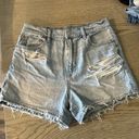 American Eagle High Waisted Mom Shorts Strigid Photo 0