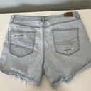 American Eagle Outfitters Mom Shorts Photo 3