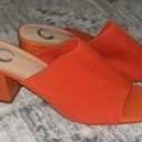 Orange Heeled Mule Sandal Size 8.5 Photo 0