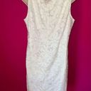 Tiana B  WHITE FLORAL LACE OVERLAY LINED DRESS WOMENS SIZE XL NWT Photo 4