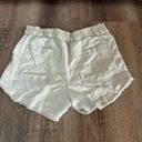 Young Fabulous and Broke  Light Green Shorts Size S Photo 1