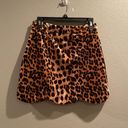 Main Strip Cheetah Mini Skirt Photo 2