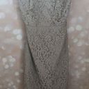 J.Crew Grayish Green Lace Strapless Photo 0