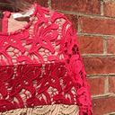 Endless Rose Vibrant Pink  Revolve Floral Lace Crop Top Photo 10