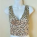 Sincerely Jules  Leopard Print Flowy Crop Top Size Medium Photo 3