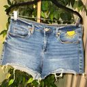 BLANK NYC  The Astor Sun Rainbow Denim Shorts Size 30 Photo 2