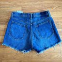 Abercrombie & Fitch Curve Love High Rise Mom Shorts Photo 2