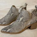 DV by Dolce Vit Sonni Snakeskin Booties Photo 6