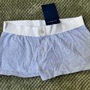 Brandy Melville Grey White Striped Shorts Photo 0