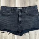 Everlane  the denim high waisted organic cotton shorts size 29 Photo 0