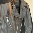 Bernardo Suede Leather Jacket Photo 2