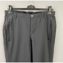 Mountain Hardwear Mountain Hardware Gray Hiking Pants Photo 1