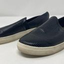 Target DV DOLCE VITA Slip On Sneakers Black Perforated  Bonded Leather Slides 8.5 Photo 5