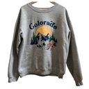 Wound Up Gray Colorado Graphic Micro Fleece Pull Over Sweatshirt Size XL (15-17) Photo 0