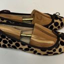 Gap  Women’s Leopard Print Ballet Flat Leather Animal Cheetah Calf Hide Shoes 7.5 Photo 3