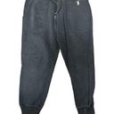 Ralph Lauren Polo  Womens Joggers Size Medium Black Track Pants Sweats Pony Photo 0