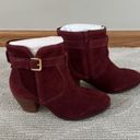 Diba True NWT Diba burgundy sleek buckle bootie Size 7 Photo 0