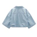 ZARA  Cropped Blue Top(Size Medium) Photo 3