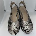 Seychelles  Playwright Snake Print Block Heel Slingback Peep Toe Sandals 7.5 Photo 1