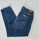 American Eagle  Emotional Blue Curvy High Waist Mom Jeans Size 16 Photo 2