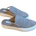 Steve Madden  Women's Gray Suede Mule Slip-On Sneakers Size 7.5 Casual Photo 0