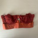 Anthropologie Dora Larsen  kiaran strapless underwire lace and satin bra - 34B Photo 2