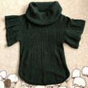 BCBGMAXAZRIA  Knit Short Sleeve Green Sweater Photo 0