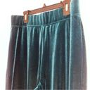 Susan Graver  QVC MP Velvet Green Pants Pull On Wide Leg Photo 1