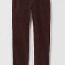 J.Jill  Corduroy Jeans Pants Sz Petite M Straight Leg Brown 5 Pocket New​ Photo 0