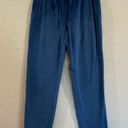 Natori Velour Lounge Pants Blue Size M Photo 1