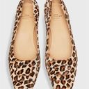 Ann Mashburn  Genuine Calf Hair Buckle Block Heel Pump Leopard Pony Women's 38.5 Photo 0