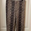 Wild Honey  snakeskin stretch leggings small Photo 2