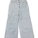 Madewell Emmett Wide Leg Crop Blue & White Striped Button Fly Pants Size 31 Photo 1